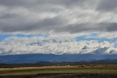 DSC_5876 (Large).JPG